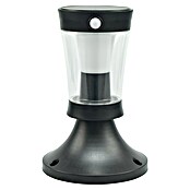 Garza Hércules Sobremuro solar LED (L x An x Al: 18 x 18 x 26,9 cm, Negro, IP54, 450 lm) | BAUHAUS