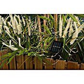 Garza Lámpara decorativa solar multipunto Cintia 1+1 (Para exterior, 6,7 cm, Blanco cálido) | BAUHAUS