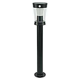 Garza Hércules Poste solar LED (12,2 x 13,1 x 63,1 cm, Negro)