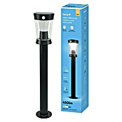 Garza Hércules Poste solar LED (12,2 x 13,1 x 63,1 cm, Negro) | BAUHAUS