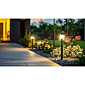 Garza Hércules Poste solar LED (12,2 x 13,1 x 63,1 cm, Negro) | BAUHAUS