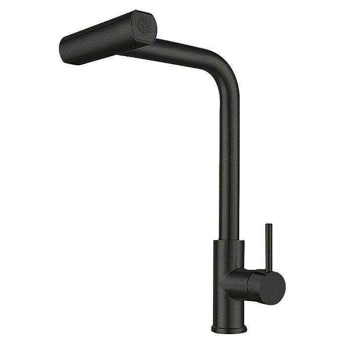 Grifo de cocina Pegaso (Negro) BAUHAUS