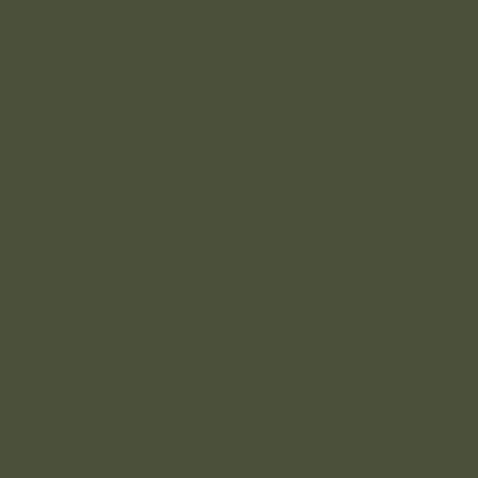 SCHÖNER WOHNEN-Farbe Wandfarbe Trendfarbe (Toskana, Matt, 1 l, Konservierungsmittelfrei) | BAUHAUS