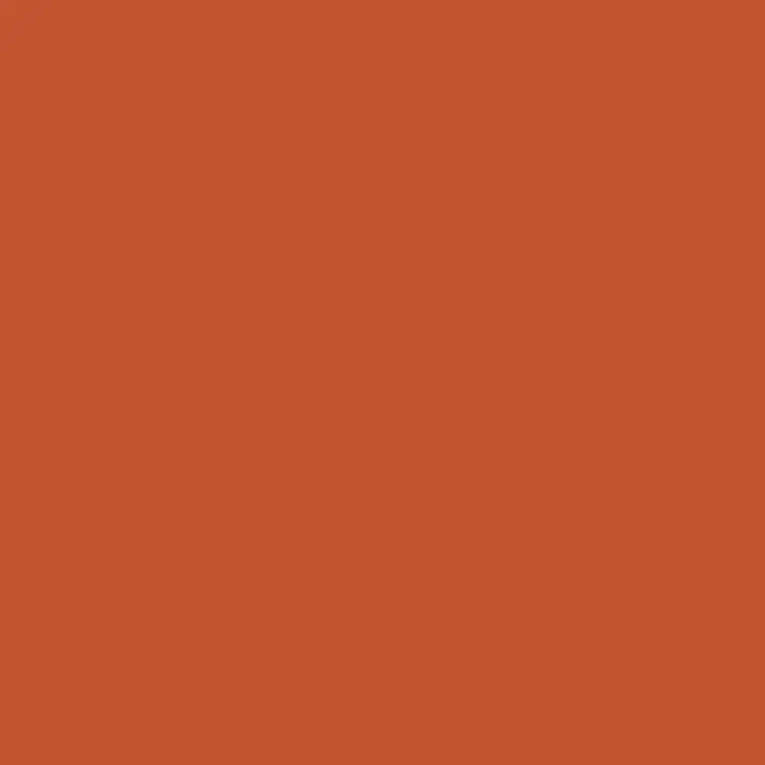 SCHÖNER WOHNEN-Farbe Wandfarbe Trendfarbe - Aperitivo, Matt, 1 l, Konservierungsmittelfrei - Einheitliches Terrakotta-Hintergrundbild für vielfältige kreative und gestalterische Anwendungen.
