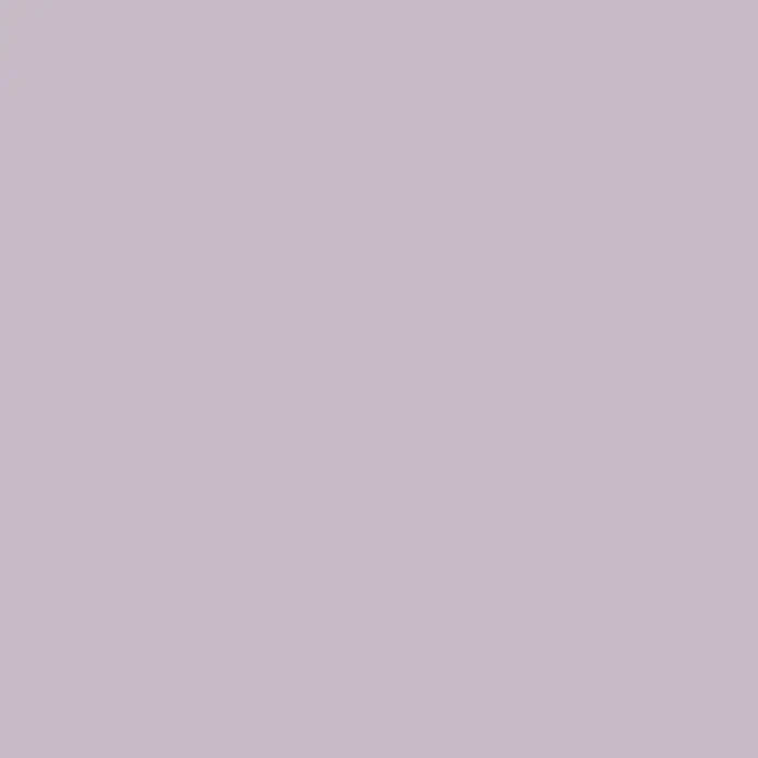 SCHÖNER WOHNEN-Farbe Wandfarbe Trendfarbe - Donut, Matt, 2,5 l, Konservierungsmittelfrei - Das Bild zeigt eine einfarbige, sanfte violette Fläche. Die Farbe wirkt beruhigend und gleichmäßig verteilt.