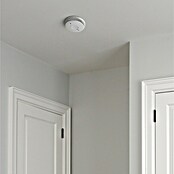 Fireangel Rookmelder FA6120-INT (Diameter: 11,8 cm, Levensduur batterij: 10 jaar, Alarmsignaal: 85 dB) | BAUHAUS