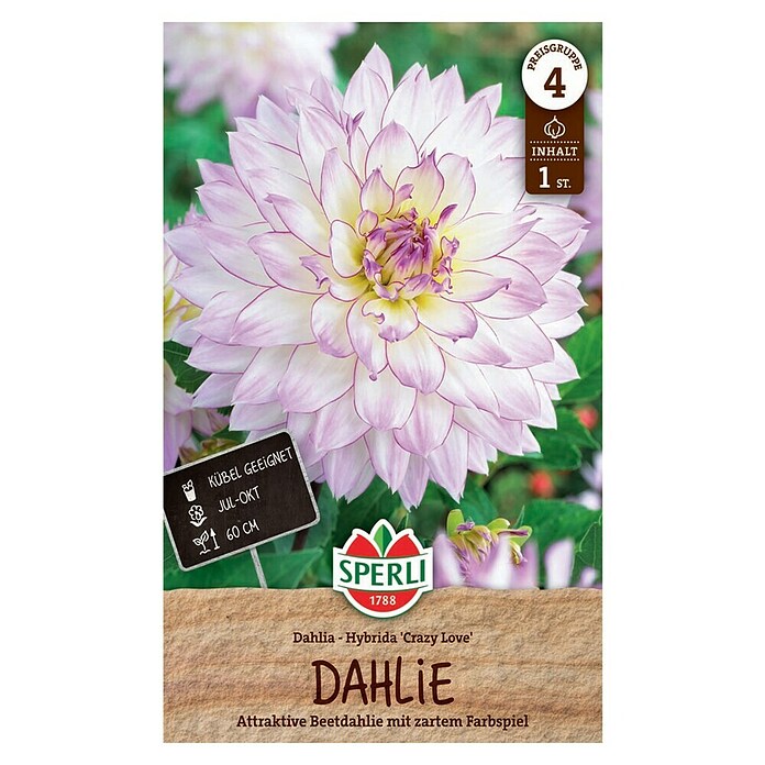 Sperli Bloembollen (Dahlia x Hybrida, Verschillende kleuren) | BAUHAUS