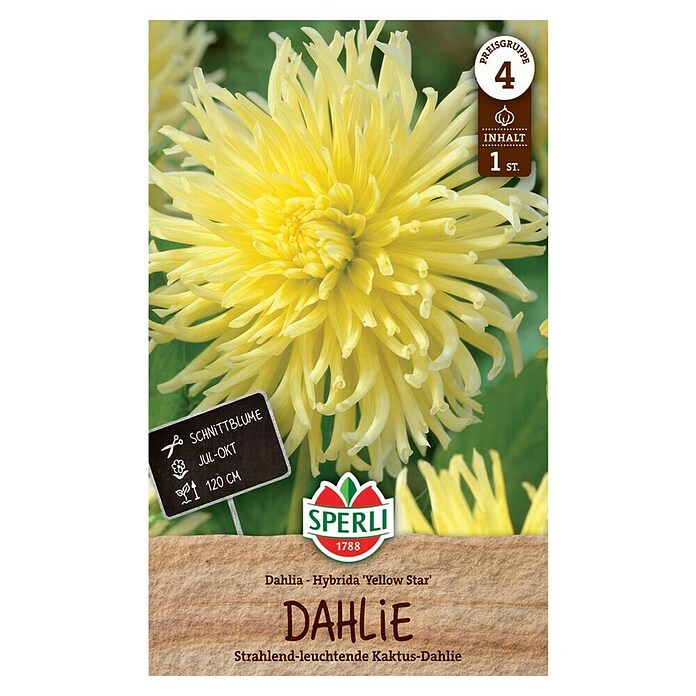 Sperli Bloembollen (Dahlia x Hybrida, Geel) | BAUHAUS