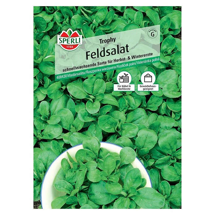Sperli Feldsalat Trophy (Valerianella 'Trophy') | BAUHAUS
