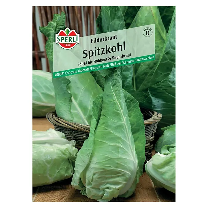 Sperli Gemüsesamen Spitzkohl Filderkraut - Brassica oleracea, Erntezeit: September, 15 m² - 20 m² - Samenpackung Spitzkohl 'Filderkraut' von Sperli: Ideal für Rohkost und Sauerkraut, eine köstliche und vielseitige Kohlsorte.