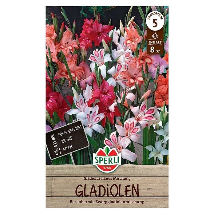 Sperli Bloembollen (Gladiolus, Verschillende kleuren) | BAUHAUS