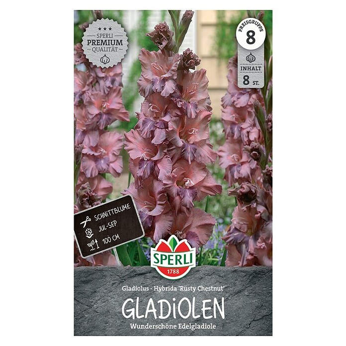 Sperli Bloembollen (Gladiolus, Oranje) | BAUHAUS