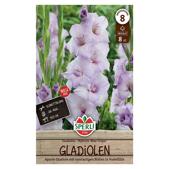 Sperli Bloembollen (Gladiolus, Paars) | BAUHAUS