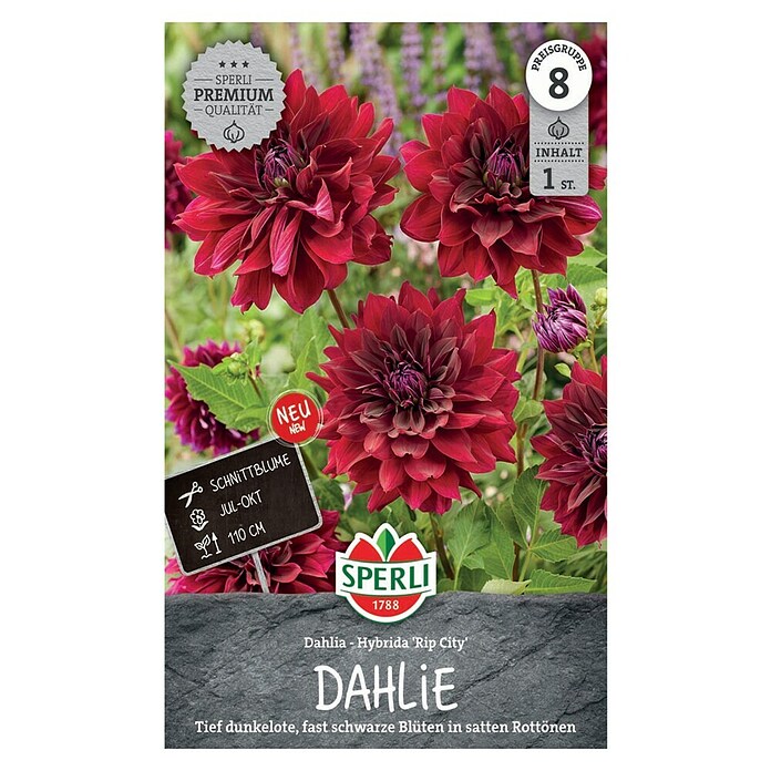 Sperli Bloembollen (Rood, Hoeveelheid bloemen: Gevuld, Levensduur planten: Vaste plant) | BAUHAUS