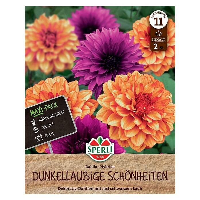 Sperli Bloembollen (Hoeveelheid bloemen: Gevuld, Dahlia x Hybrida, Verschillende kleuren) | BAUHAUS