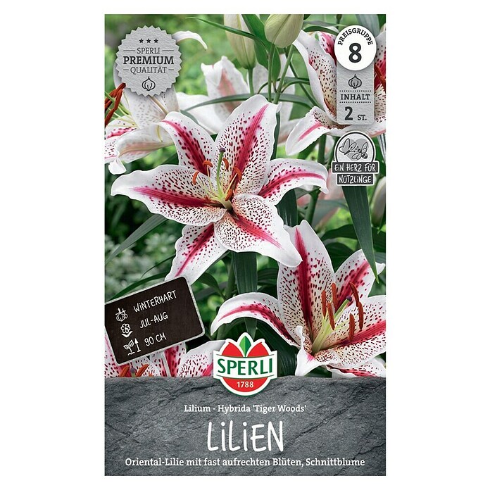 Sperli Bloembollen (Lilium x Hybrida, Verschillende kleuren) | BAUHAUS
