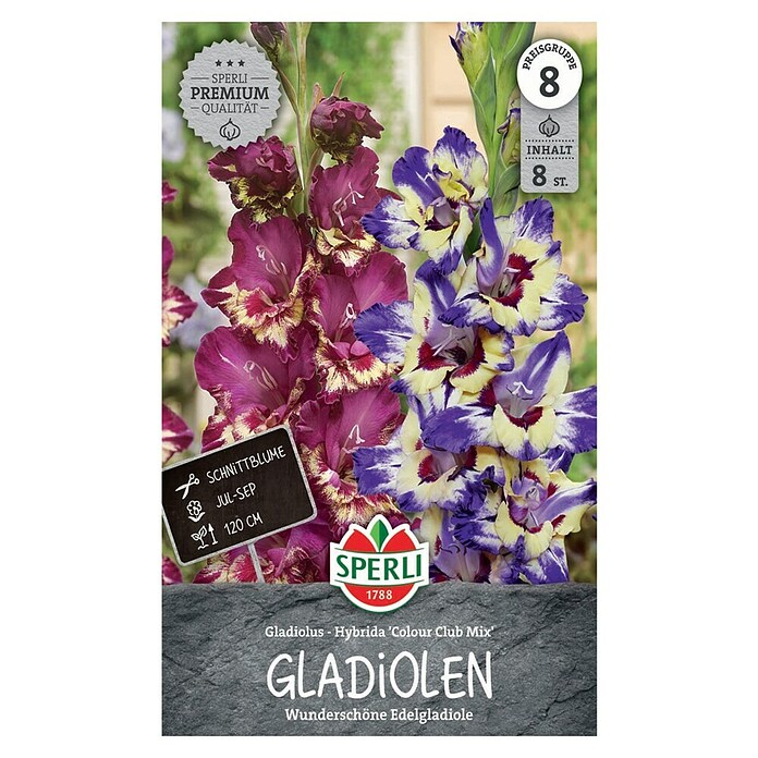 Sperli Bloembollen Gladiole Club Mix (Gladiolus, Verschillende kleuren) | BAUHAUS
