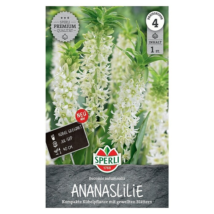 Sperli Bloembollen (Eucomis autumnalis, Vaste plant, Wit) | BAUHAUS