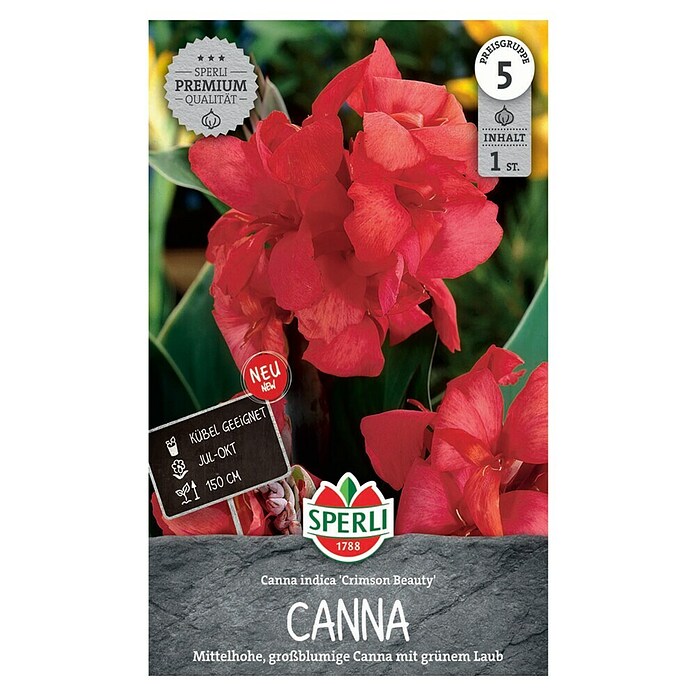 Sperli Bloembollen (Canna x Hybrida, Vaste plant, Roze) | BAUHAUS