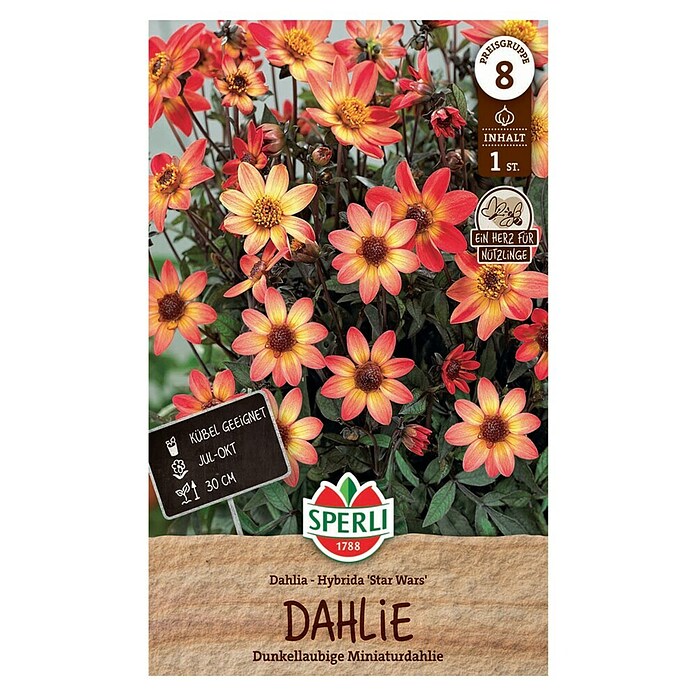 Sperli Bloembollen (Dahlia x Hybrida, Vaste plant, Verschillende kleuren) | BAUHAUS