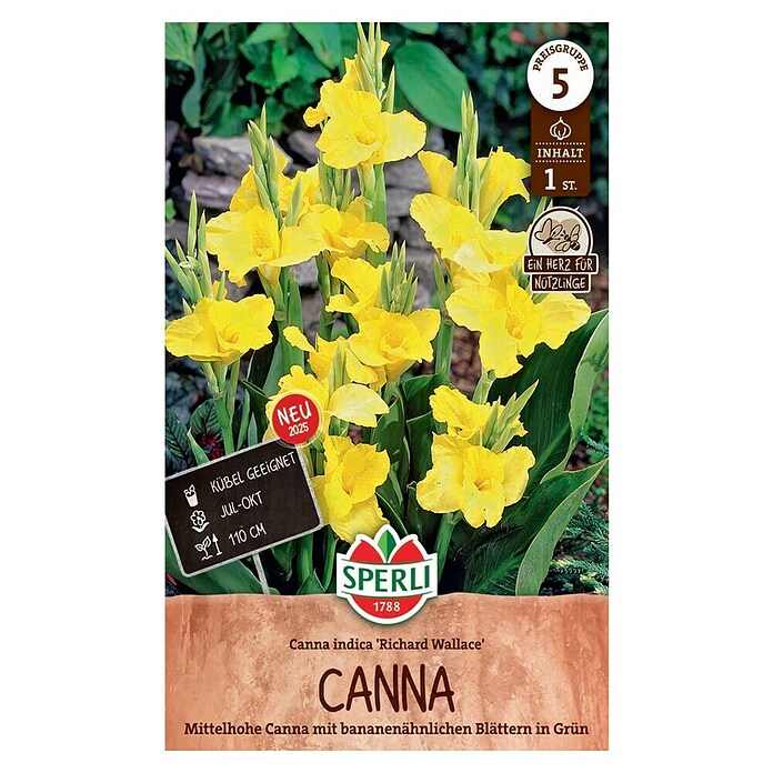 Sperli Bloembollen (Canna x Hybrida, Geel) | BAUHAUS