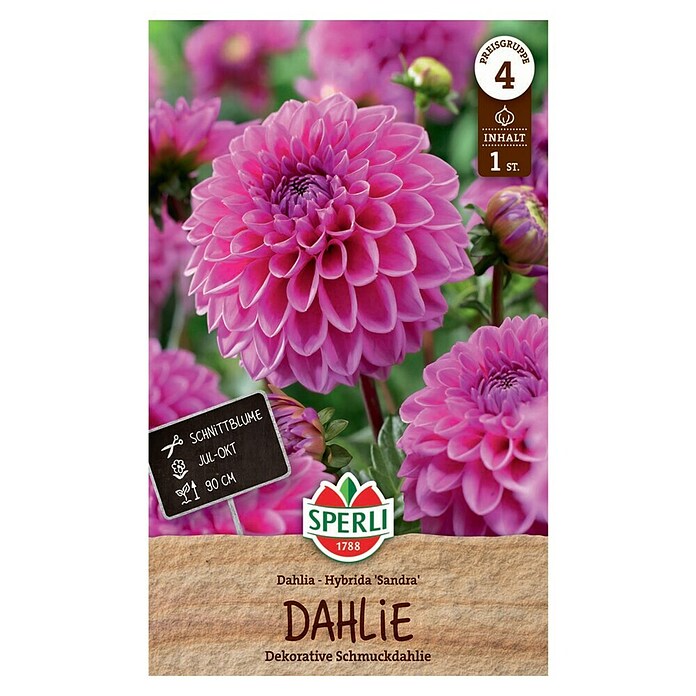 Sperli Bloembollen (Levensduur planten: Vaste plant, Pink) | BAUHAUS