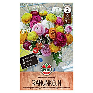 Sperli Blumensamen Ranunkeln Mischung (Bunt, Lebensdauer Pflanzen: Mehrjährig, Blütenfüllung: Gefüllt)