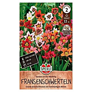 Blumensamen Fransenschwertel Mischung (Mehrfarbig, Lebensdauer Pflanzen: Mehrjährig, Blütenfüllung: Ungefüllt)