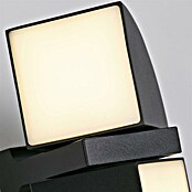 Searchlight Led-wandlamp voor buiten Dakota (8 W, 12 x 12 x 20,5 cm, Zwart, IP44) | BAUHAUS