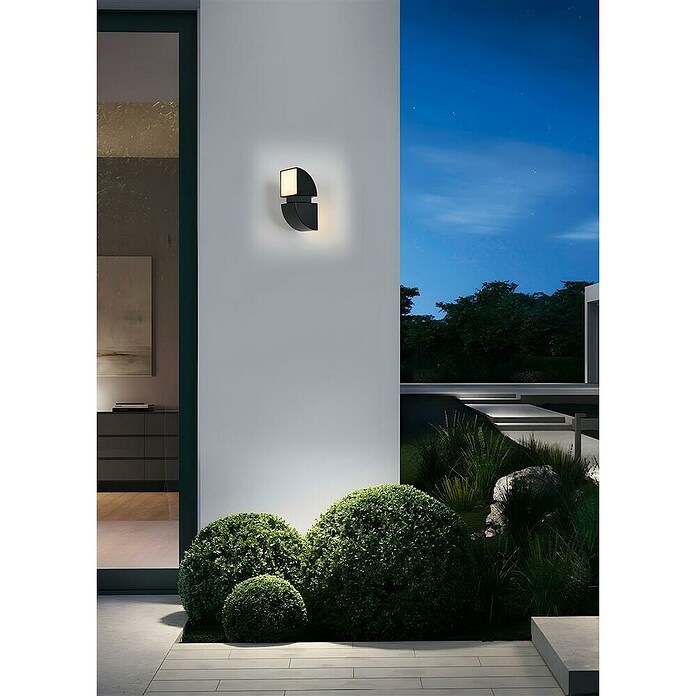 Searchlight Led-wandlamp voor buiten Dakota (8 W, 12 x 12 x 20,5 cm, Zwart, IP44) | BAUHAUS