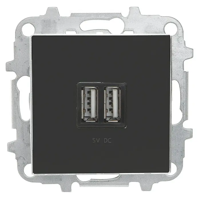 Toma USB doble Zenit - x 2, Antracita, Mate, Montaje enrasado - Primer plano de un enchufe de pared USB doble negro con marco plateado, que ofrece una solución de carga conveniente para dispositivos.