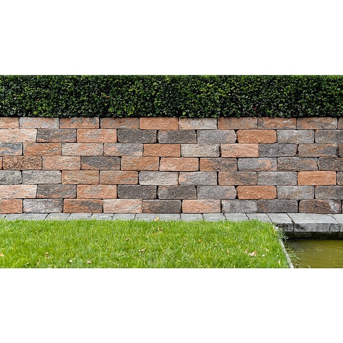 Seesteiner Mauerstein Felsino (28 x 10 x 12 cm, Beton, Muschelkalk) | BAUHAUS