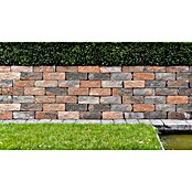 Seesteiner Mauerstein Felsino (28 x 10 x 12 cm, Beton, Muschelkalk) | BAUHAUS