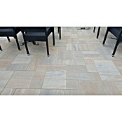 TERR.PLATTE MEHR-   FORMAT 5cm MUSCHEL  PIAZZA