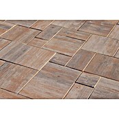 TERR.PLATTE MEHR-   FORMAT 5cm MUSCHEL  PIAZZA