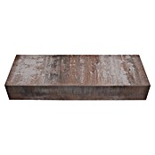 Seesteiner Blockstufe Piazza (100 x 35 x 15 cm, Muschelkalk, Beton) | BAUHAUS
