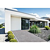 Seesteiner Pflasterstein Piazza (L x B x H: 22,5 x 15 x 5 cm, Kristall, Rechteckig) | BAUHAUS