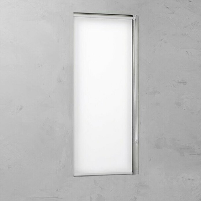 Rollo Easyfix (B x H: 120 x 150 cm, Weiß, Uni) | BAUHAUS