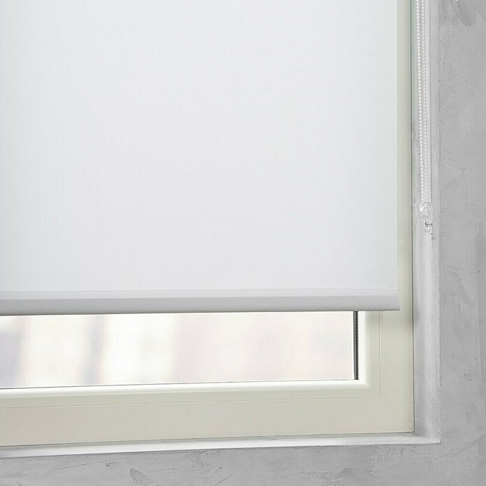 Rollo Easyfix (B x H: 120 x 150 cm, Weiß, Uni) | BAUHAUS
