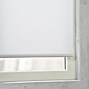 Rollo Easyfix (B x H: 120 x 150 cm, Weiß, Uni) | BAUHAUS