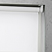 Rollo Easyfix (B x H: 120 x 150 cm, Weiß, Uni) | BAUHAUS