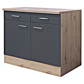 Flex-Well Tiago Unterschrank (B x T x H: 100 x 60 x 85 cm, Basaltgrau matt) | BAUHAUS