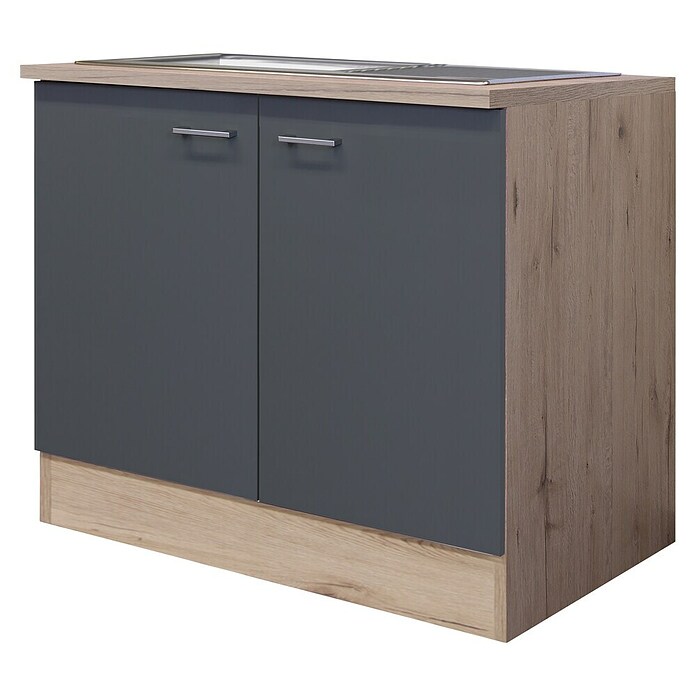 Flex-Well Tiago Spülenunterschrank (B x T x H: 100 x 60 x 85 cm, Basaltgrau matt) | BAUHAUS
