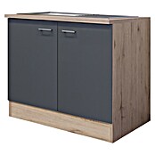Flex-Well Tiago Spülenunterschrank (B x T x H: 100 x 60 x 85 cm, Basaltgrau matt) | BAUHAUS