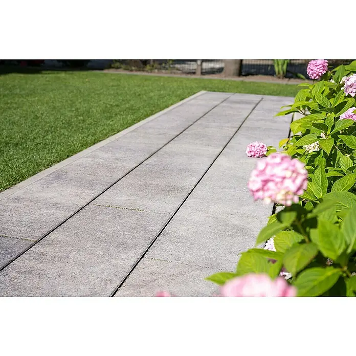 Diephaus Terrassenplatte Atlanta - 60 x 30 x 4 cm, Quarz, Beton - Betonplattenweg mit rosa Hortensien. Der Weg ist mit Betonplatten ausgelegt und wird von üppigen rosa Hortensien gesäumt.