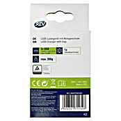 REV Cargador USB Enchufe adaptador (Blanco, 2 conexiones USB) | BAUHAUS