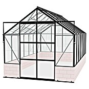 Vitavia Gewächshaus Cassandra 9900 Plus (3,85 x 2,57 x 2,49 m, Farbe: Schwarz, Einscheibensicherheitsglas (ESG))