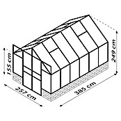 Vitavia Gewächshaus Cassandra 9900 (3,85 x 2,57 x 2,49 m, Farbe: Schwarz, Einscheibensicherheitsglas (ESG))