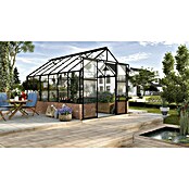 Vitavia Gewächshaus Cassandra 9900 (3,85 x 2,57 x 2,49 m, Farbe: Schwarz, Einscheibensicherheitsglas (ESG))
