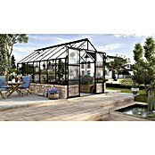 Vitavia Gewächshaus Cassandra 9900 Plus (3,85 x 2,57 x 2,49 m, Farbe: Schwarz, Einscheibensicherheitsglas (ESG))